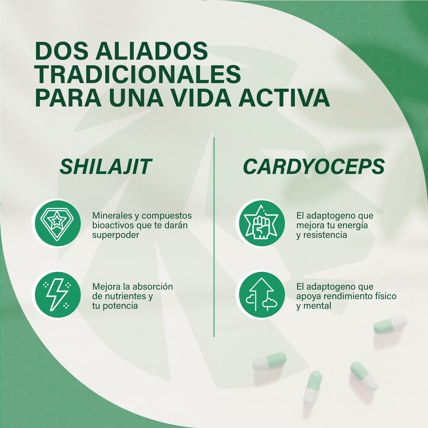 Ashwagandha KSM-66 Hombre Estrés Sueño Energía Withania Somnifera Adaptógeno Natural Complemento Alimenticio Vegano 90 Cápsulas Dod Essentials