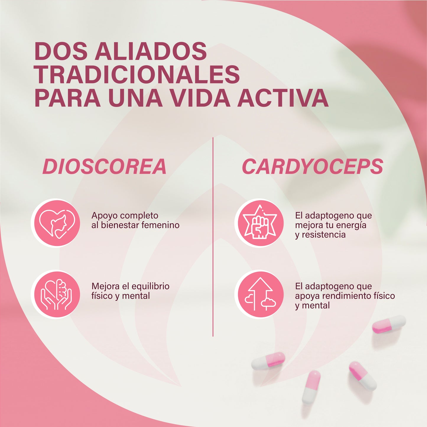 Ashwagandha KSM-66 Mujer Estrés Sueño Energía Withania Somnifera Adaptógeno Natural Complemento Alimenticio Vegano 90 Cápsulas Dod Essentials