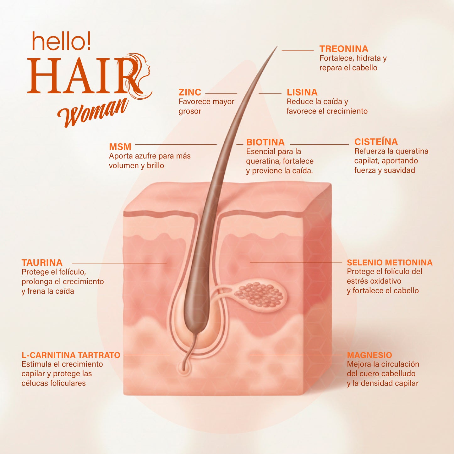 Hello Hair Woman Vitaminas para el Cabello,Uñas y Piel con Biotina, Zinc y Selenio Anticaída Mujer en Cápsulas con MSM y Aminoácidos – 180 Cápsulas (2 Meses) DOD Essentials